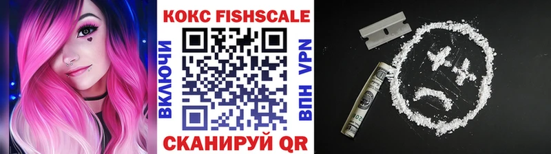 КОКАИН Эквадор  закладка  Андреаполь 
