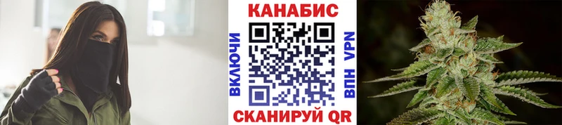Конопля сатива Андреаполь